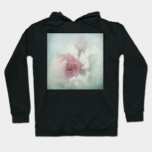 Through the window Hoodie